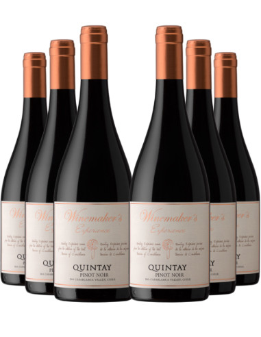 6 vinos Quintay Experience Pinot Noir