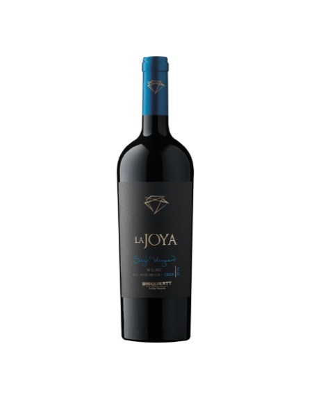 Bisquertt La Joya Single Vineyard Malbec