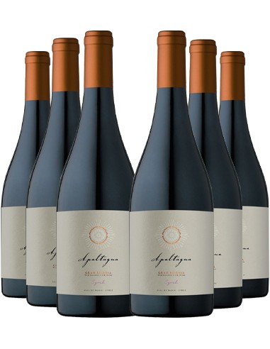 6 vinos Apaltagua Gran Reserva Syrah